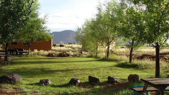 group site.jpg
