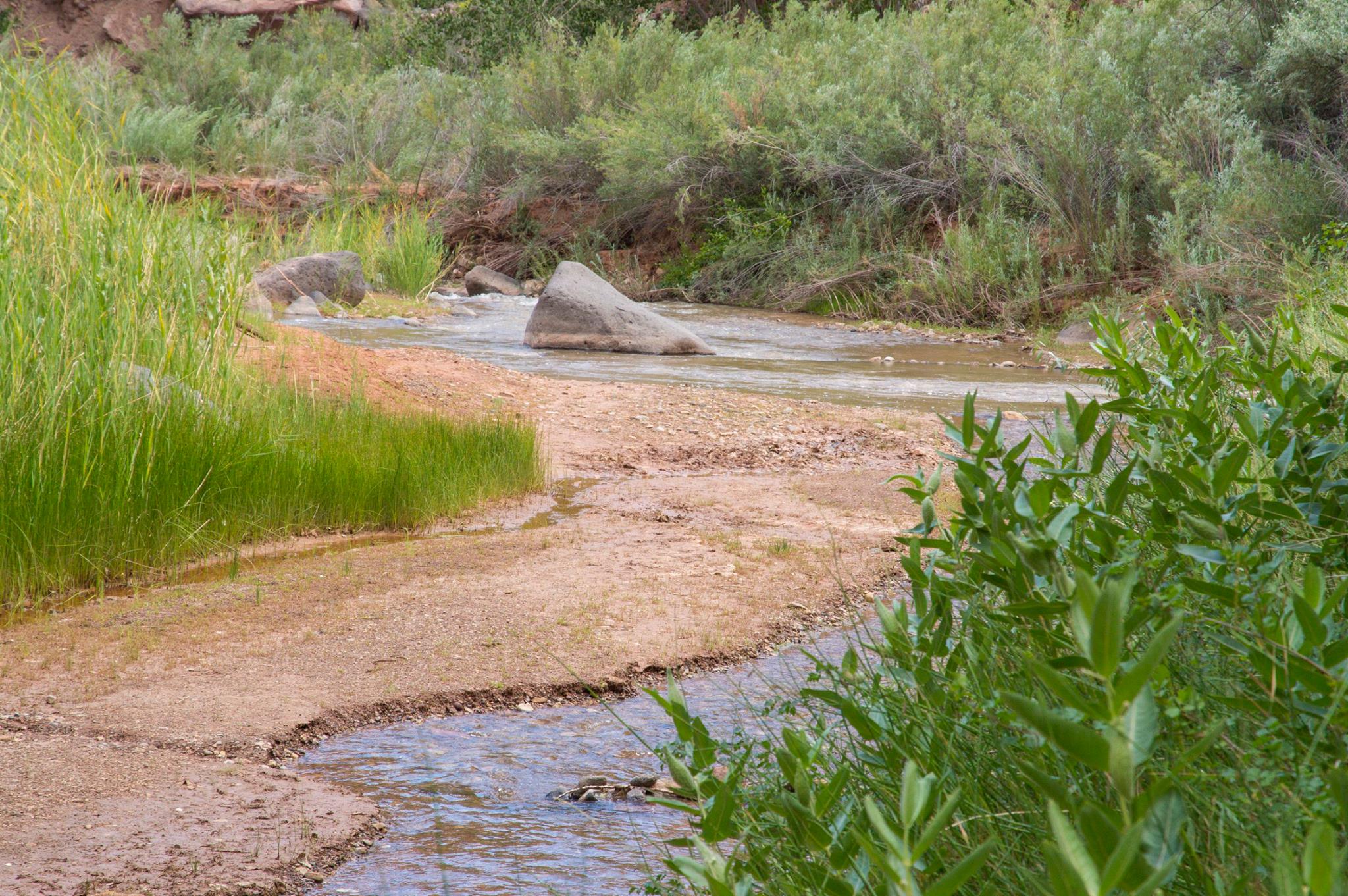 Fremont_River.jpg