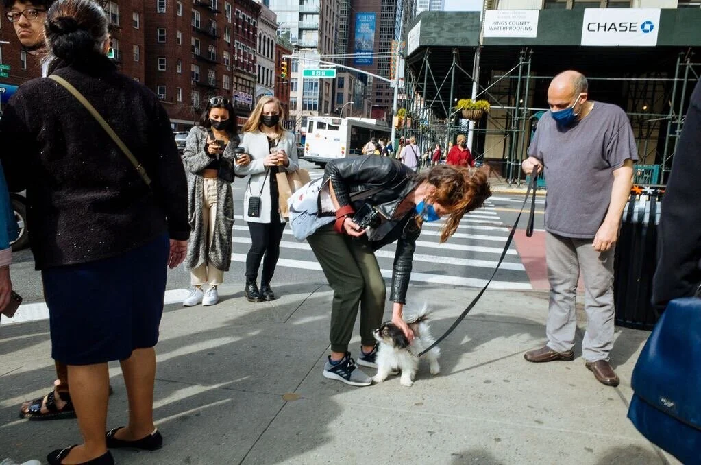 Blog — NYC-SPC