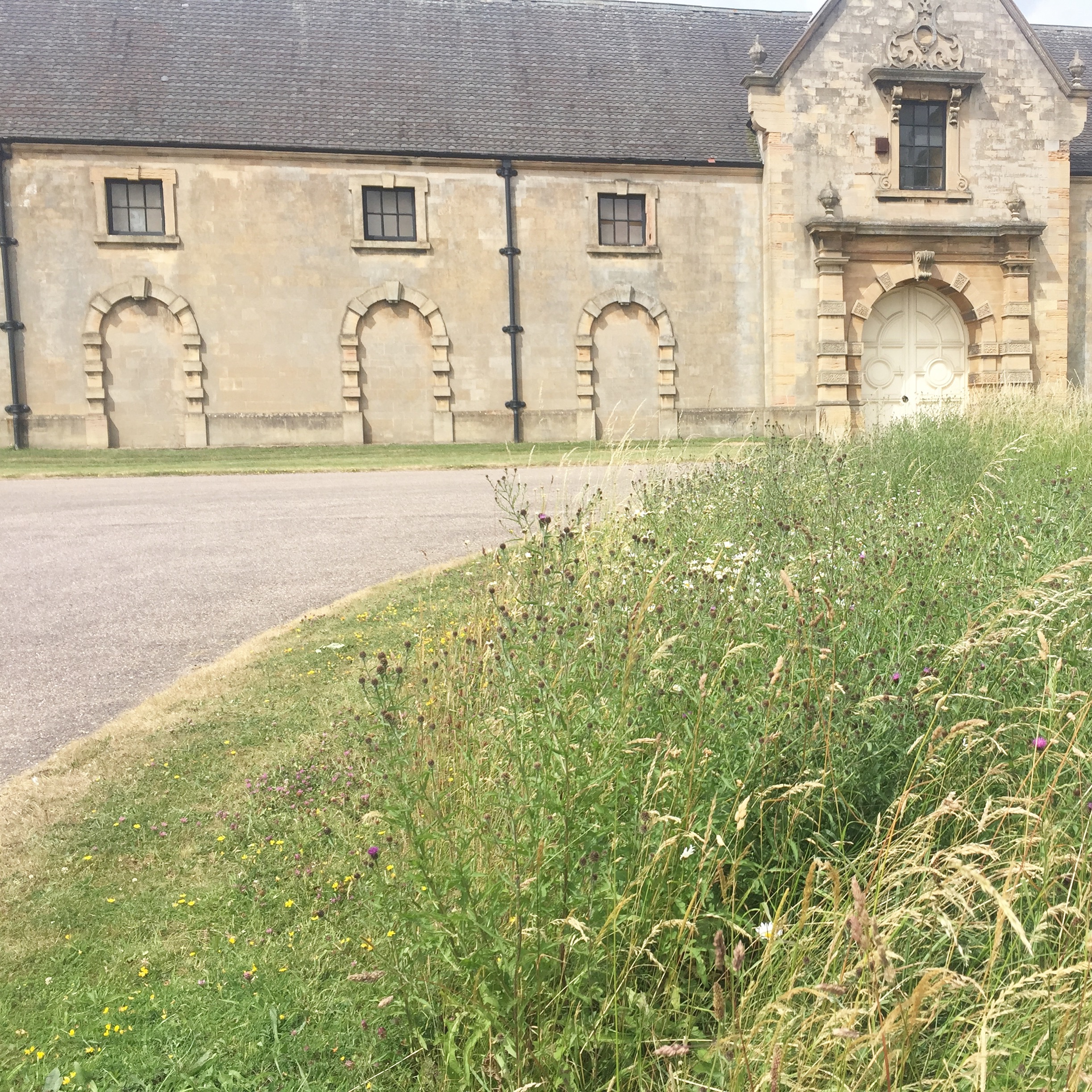 I am lucky enough to have my studio space at the lovely Welbeck Estate. Busy planning a photo shoot today, but a little time must be taken to enjoy the scenery.