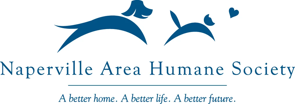 NAHS Logo GÇô A better...(CMYK).jpg