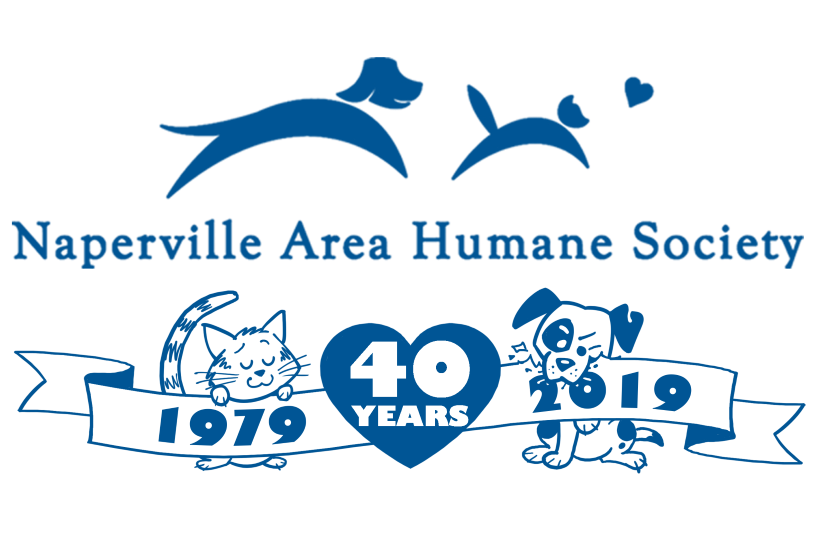 NAHS_40_Years_logo_BLUE.png