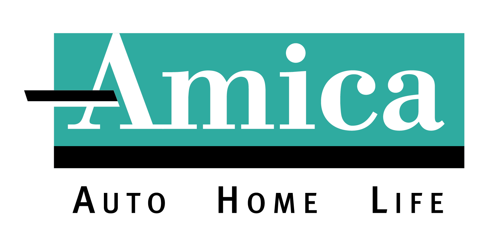 Color Amica Logo black AHL_2C.png