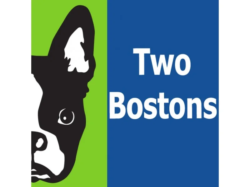 Two Bostons.jpeg