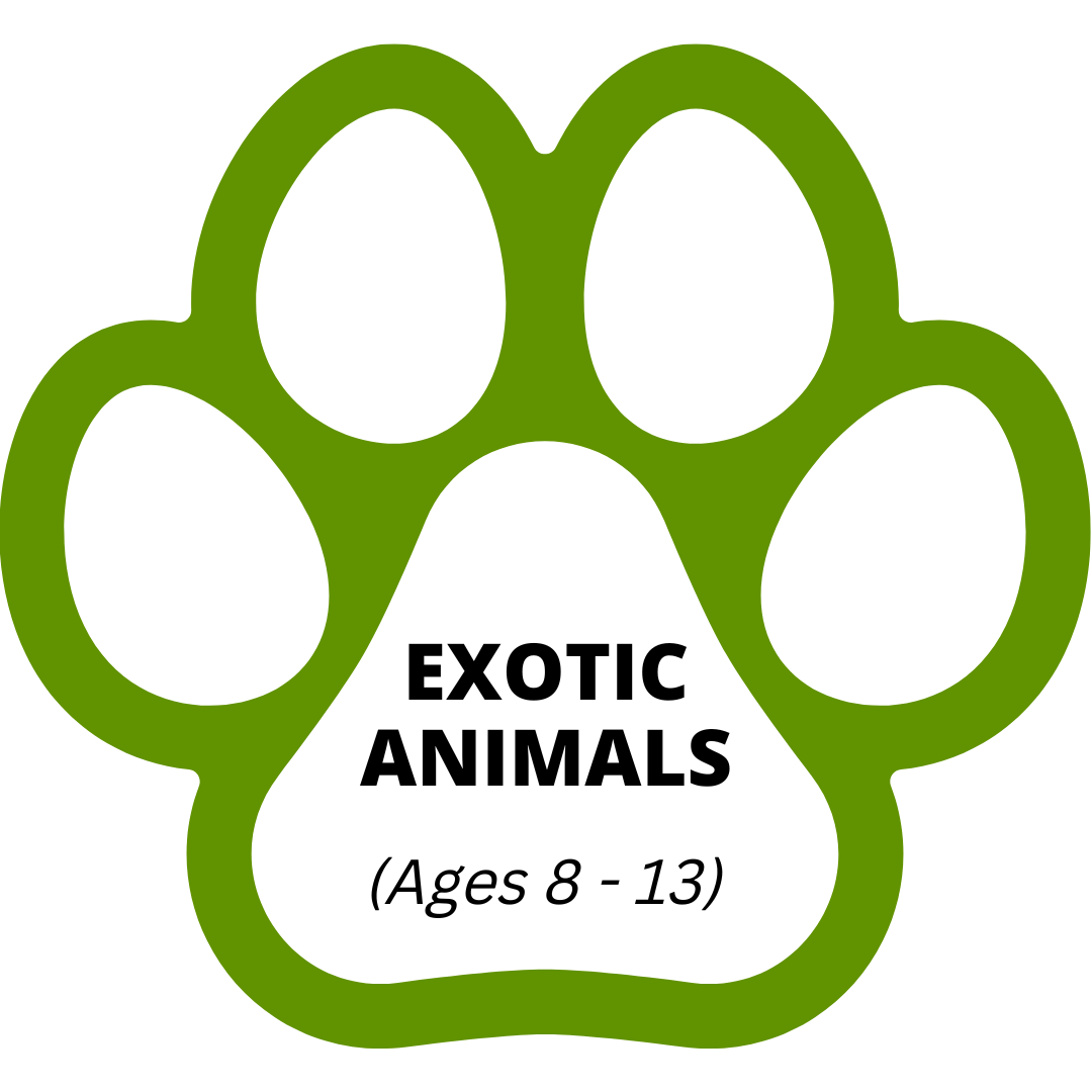 Education, Camps, & Internships — Naperville Area Humane Society