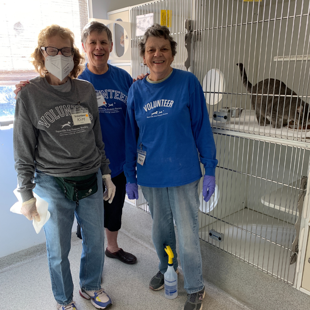 InShelter Volunteering — Naperville Area Humane Society