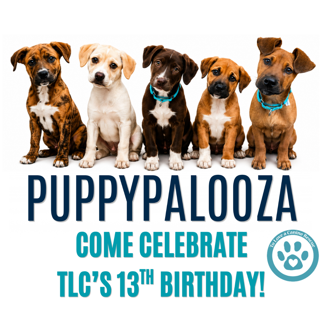 Puppy Palooza w/ TLC Rescue