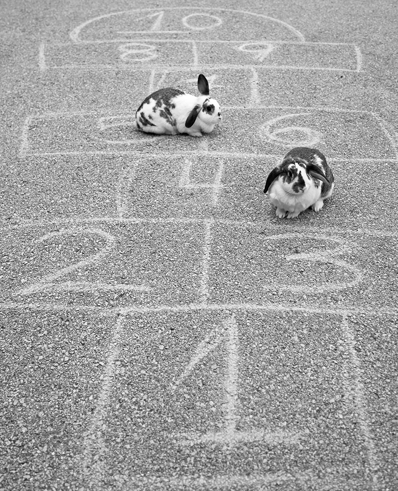 Hop Scotch