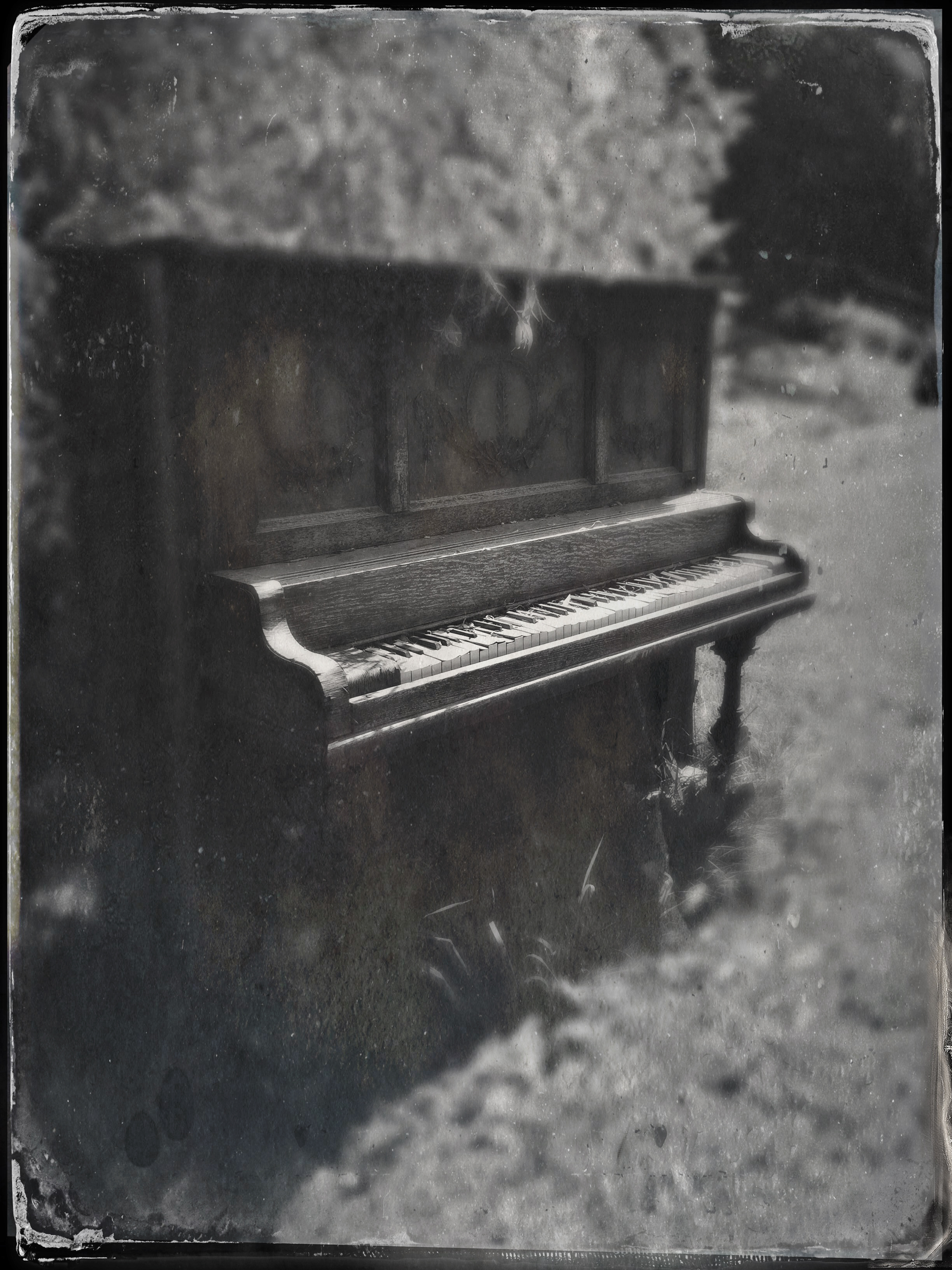 Ivories in the Valley