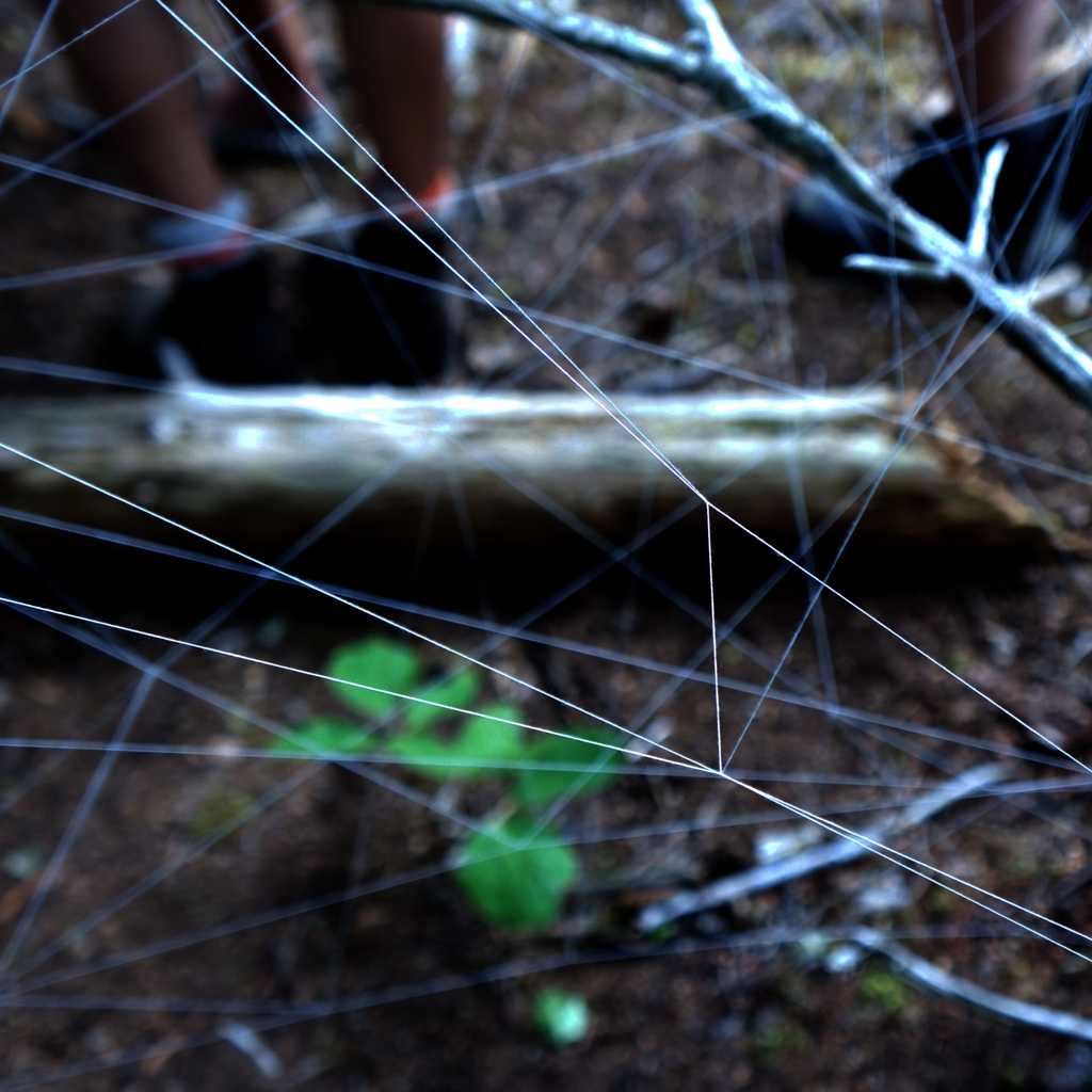 15JD2016THRESHOLD.jpg