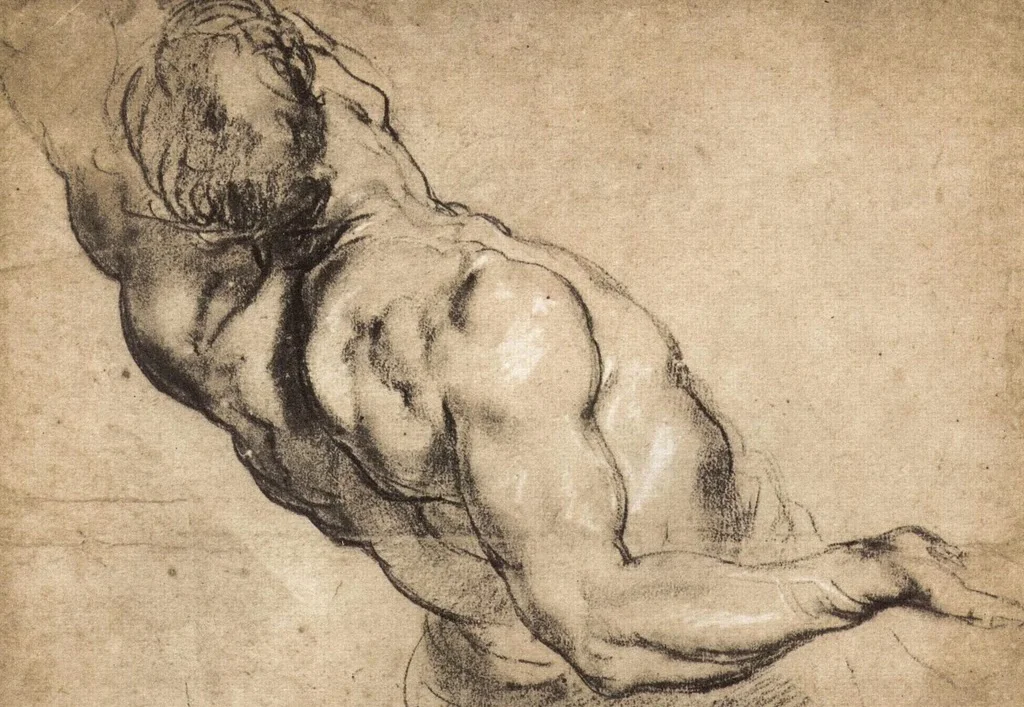 Peter-Paul-Rubens-Study-of-a-Man's-Torso.jpg