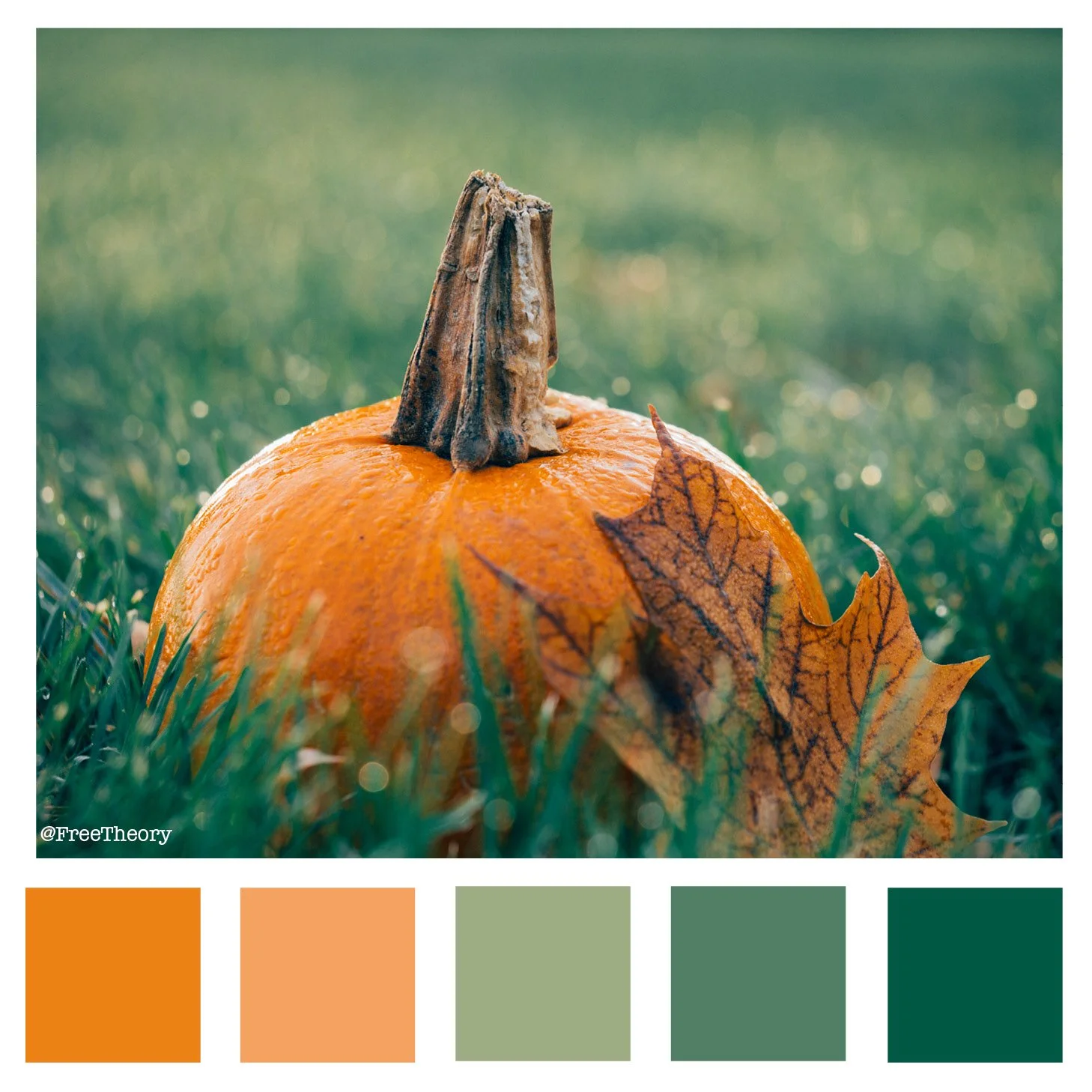 Mini Pumpkin Color Palette