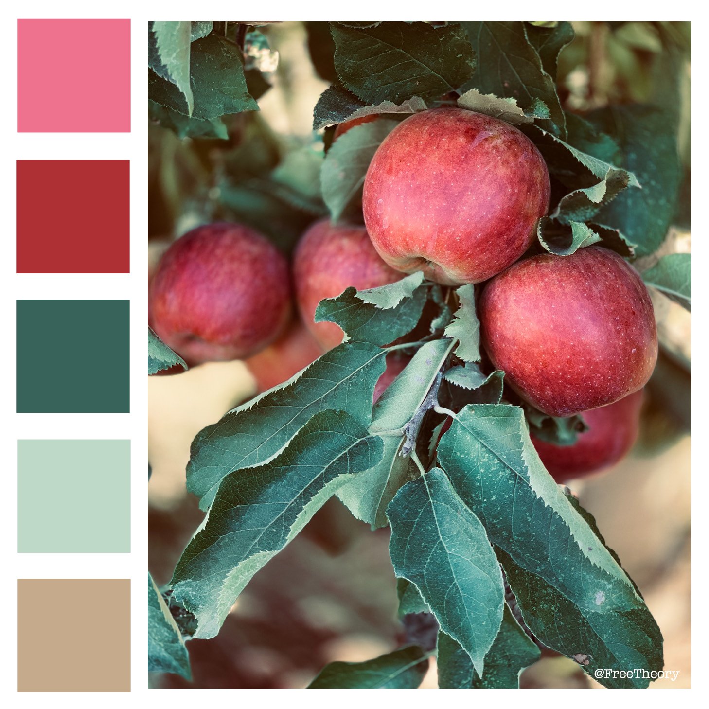 Apple Orchard Color Palette