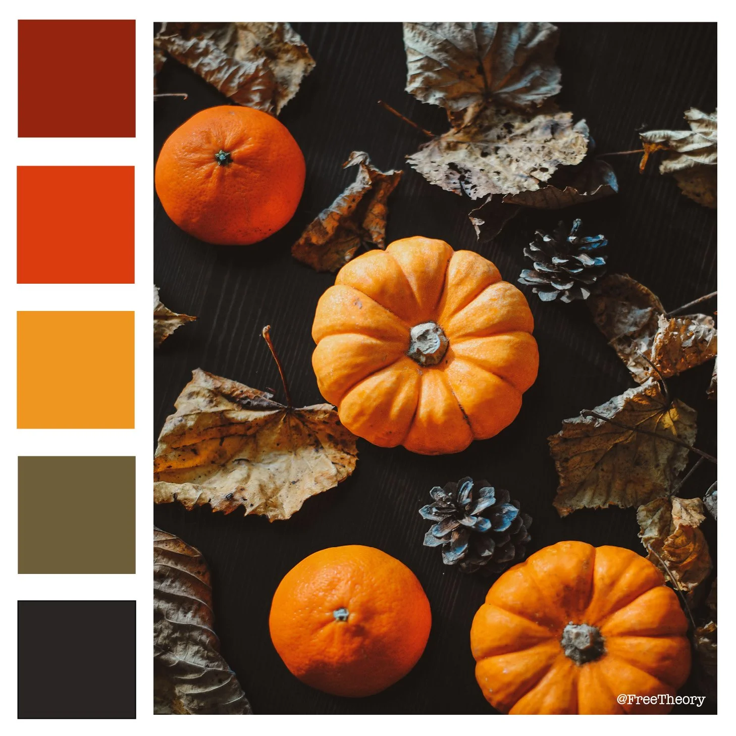 Pumpkins and Pinecones Color Palette 