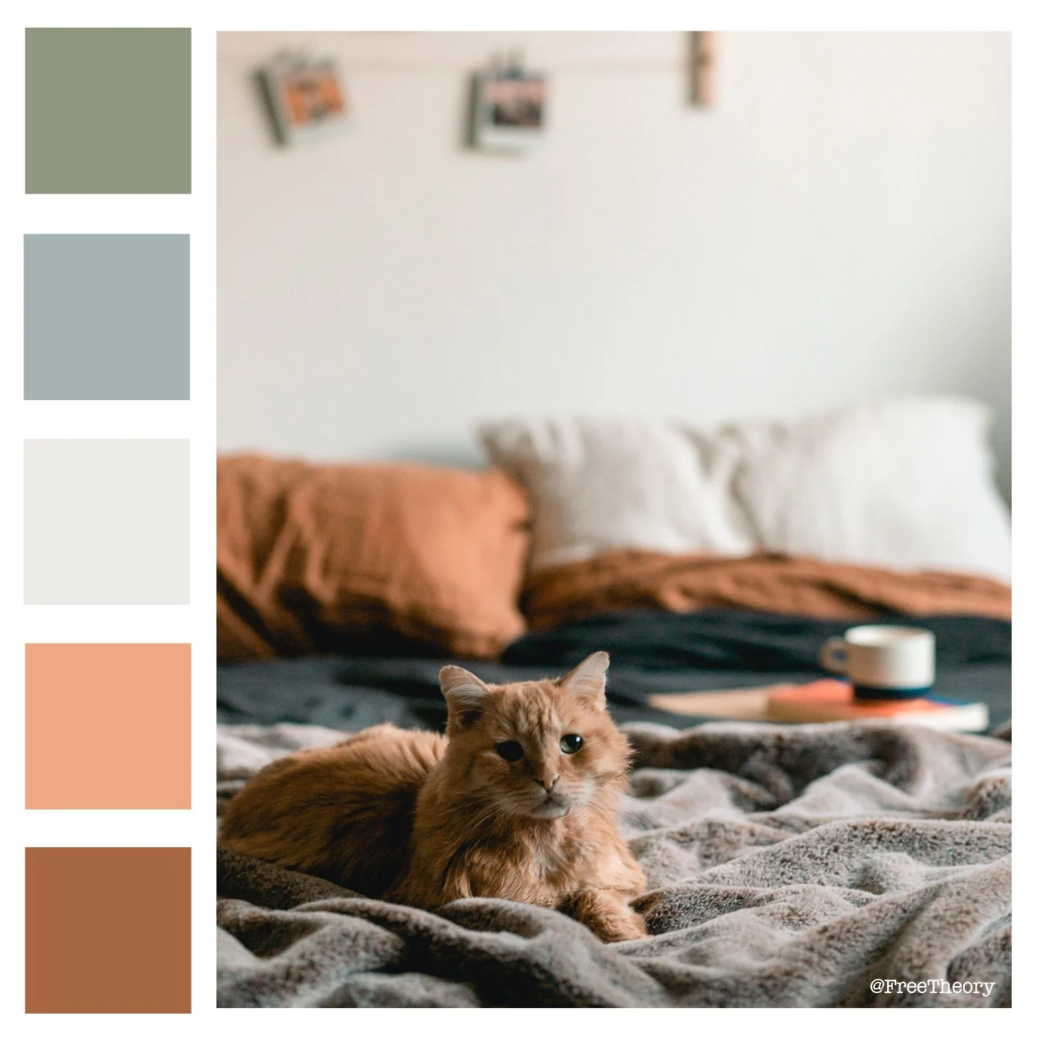 Cozy Cat Color Palette