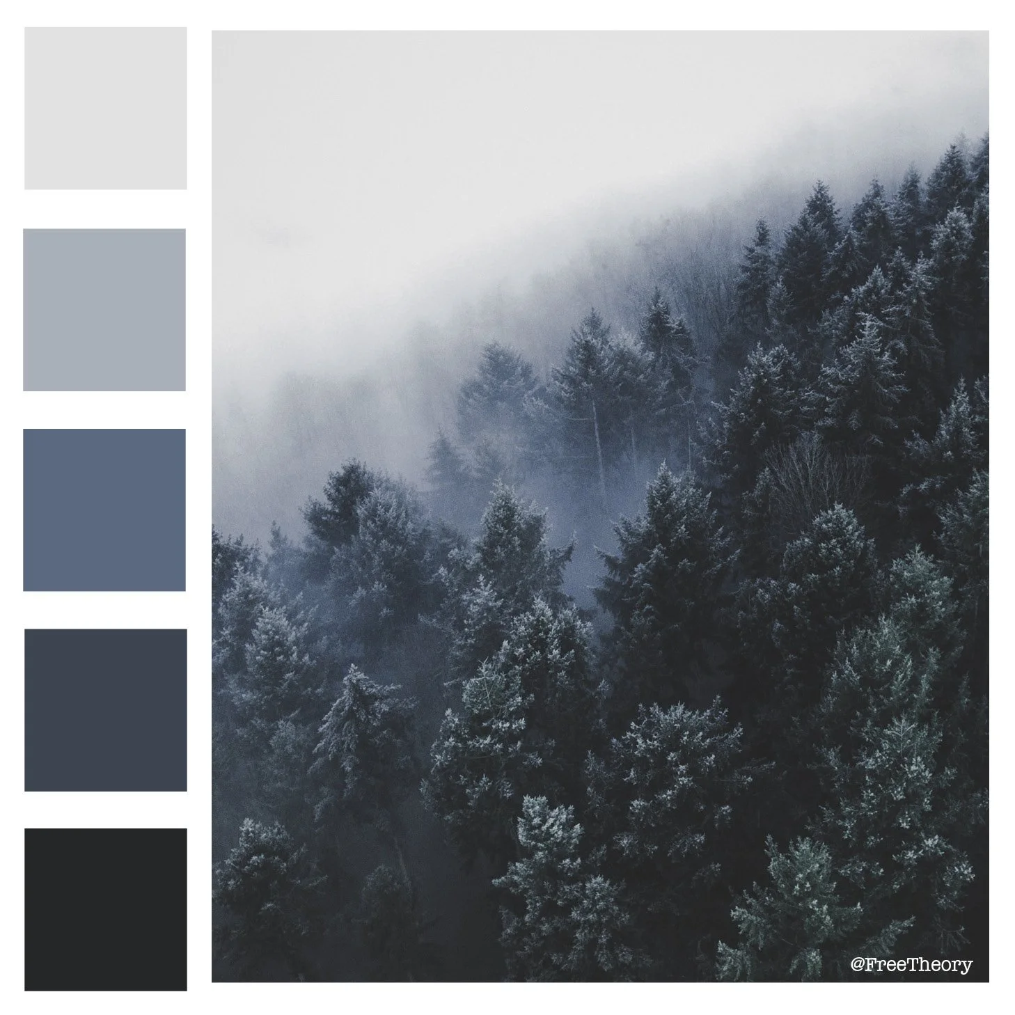 Pine Forest Color Palette 