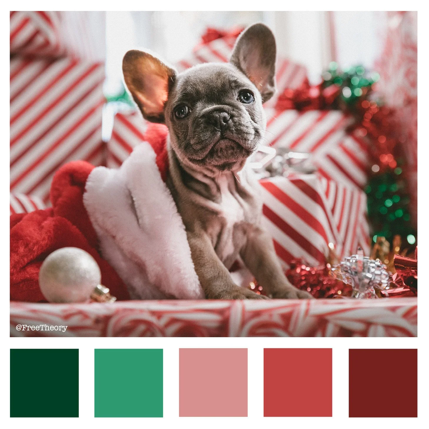Puppy Presents Color Palette