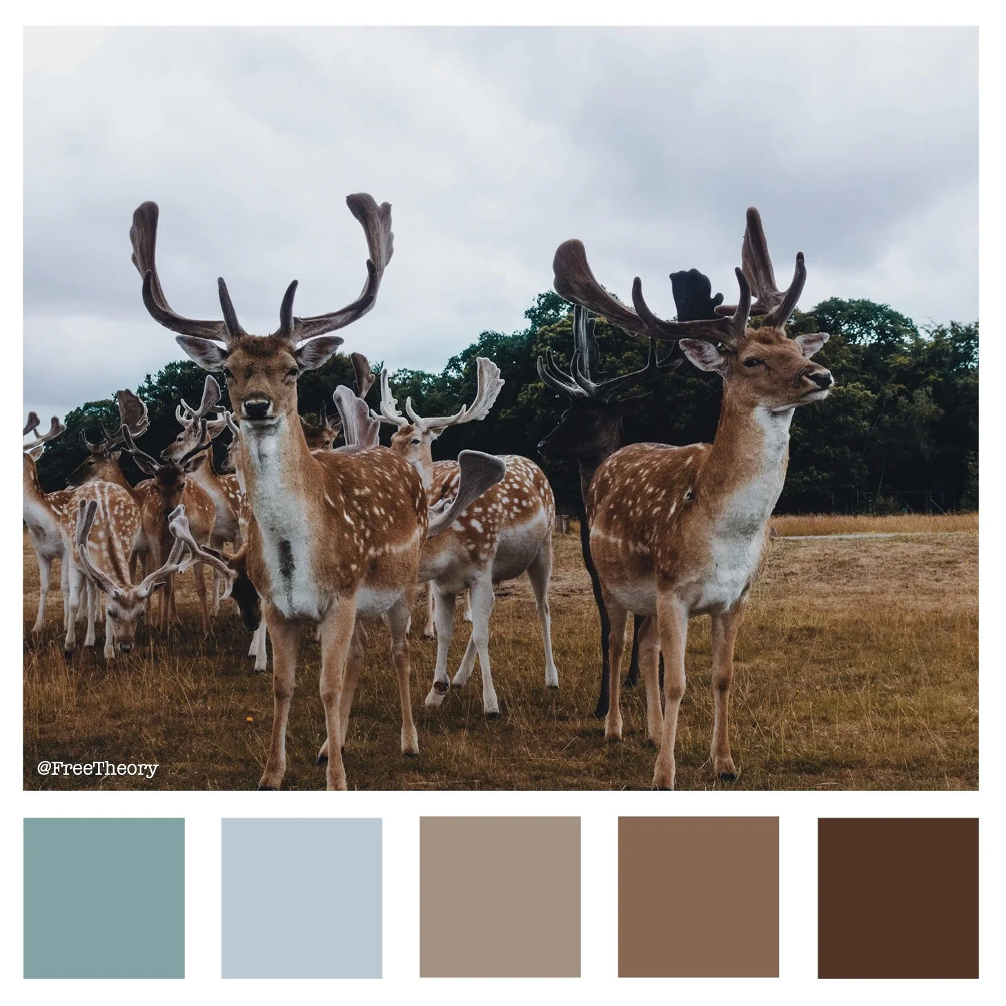 Reindeer Color Palette