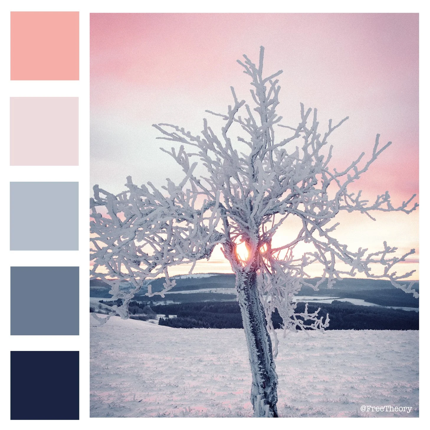 Pink Winter Sunset Color Palette