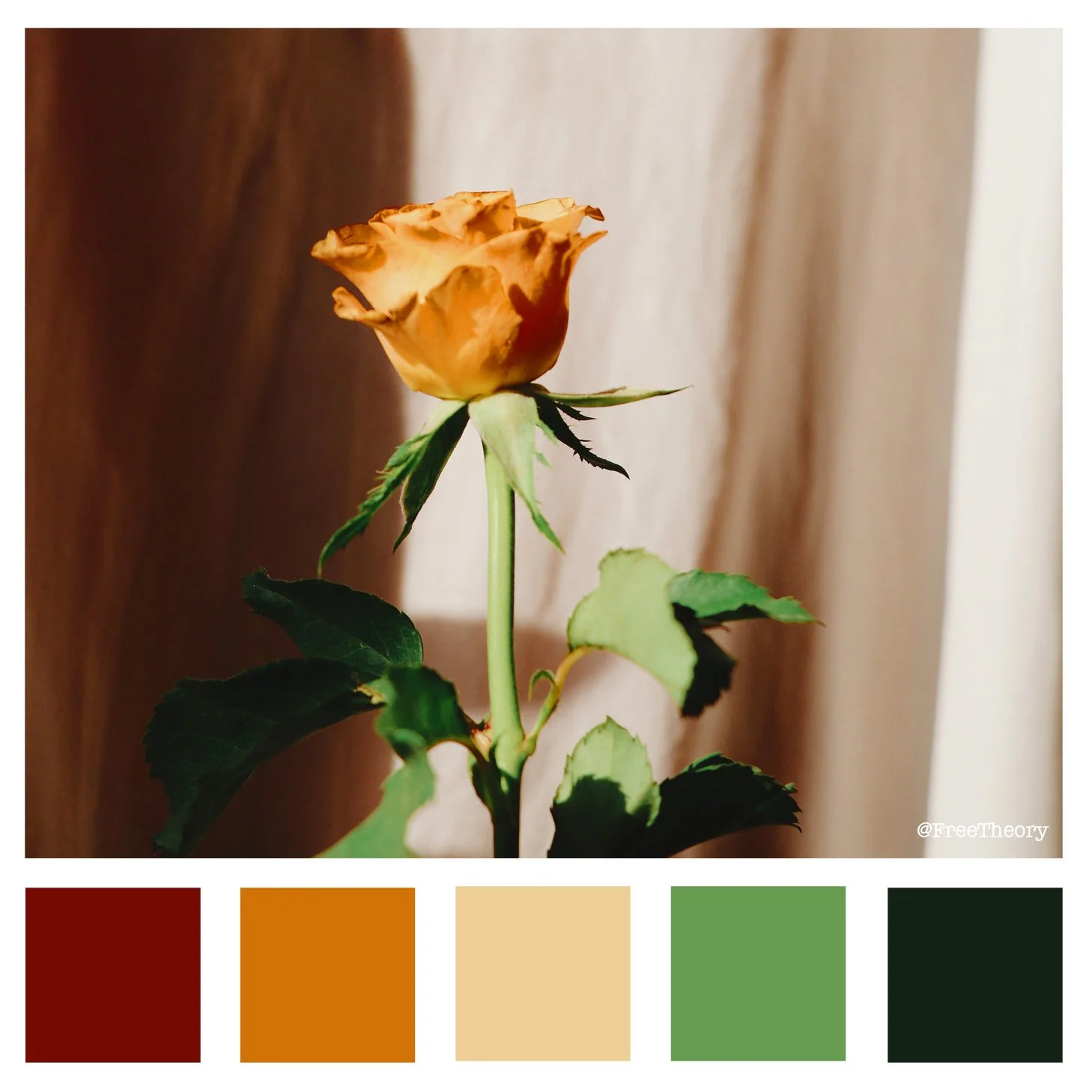 Peachy Rose Color Palette