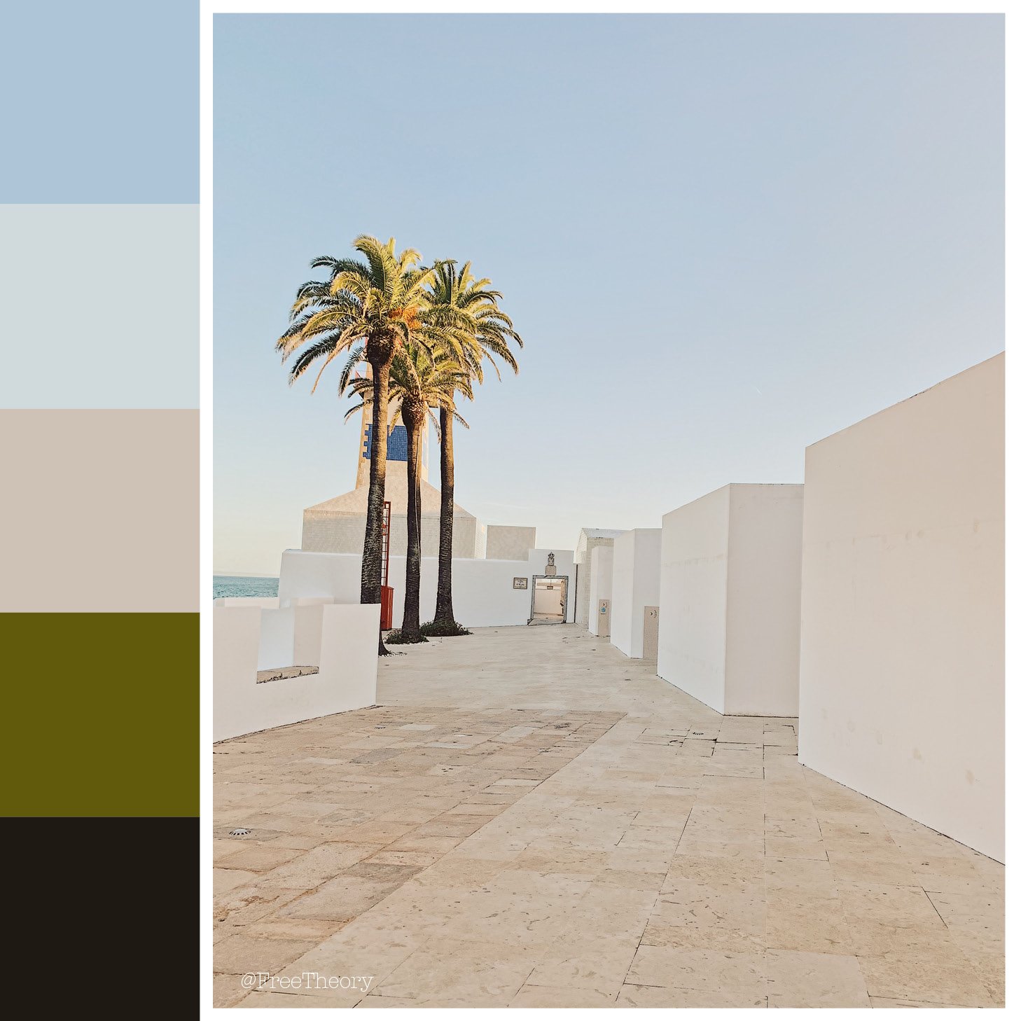 Portugal Palm Trees Color Palette