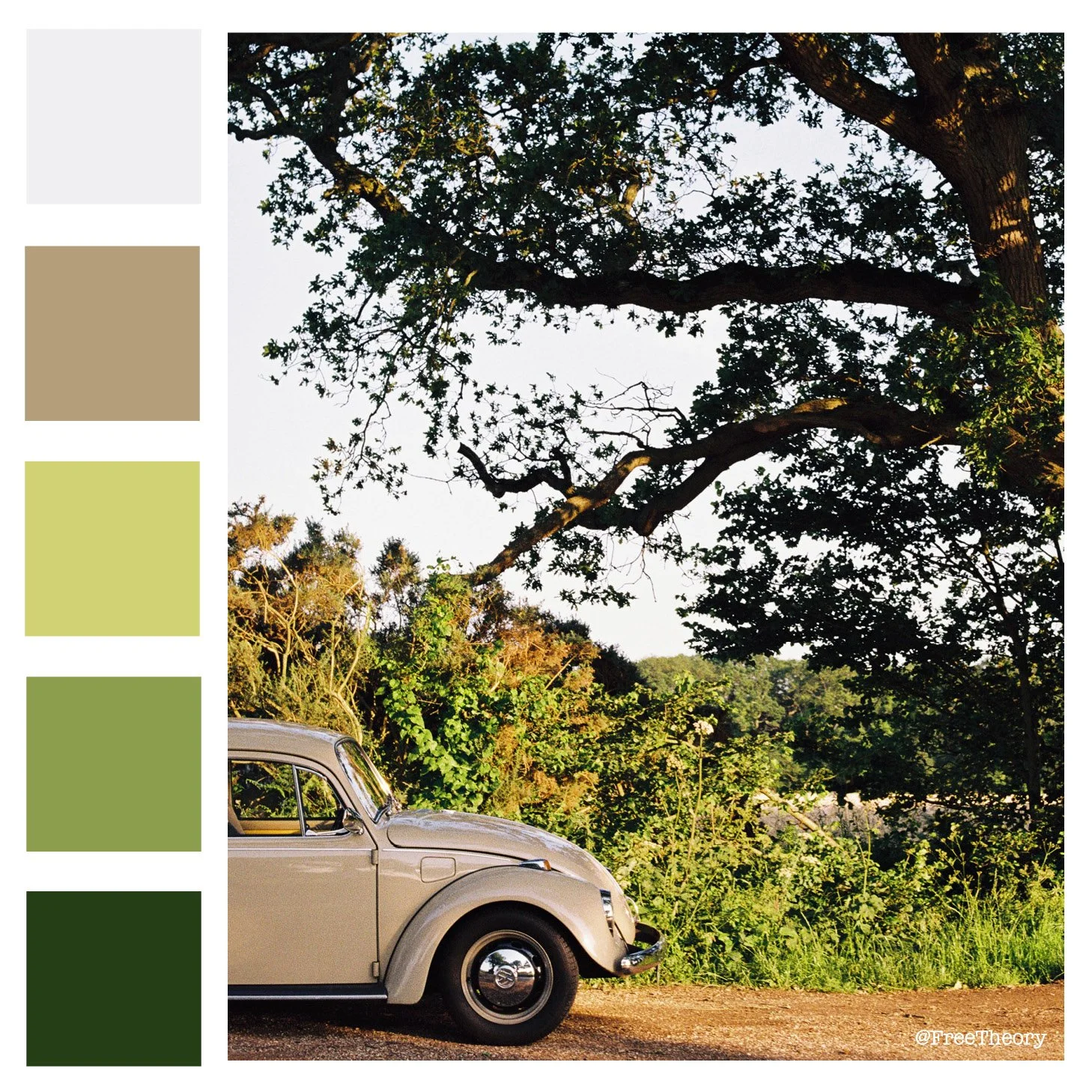 Vintage Car Color Palette
