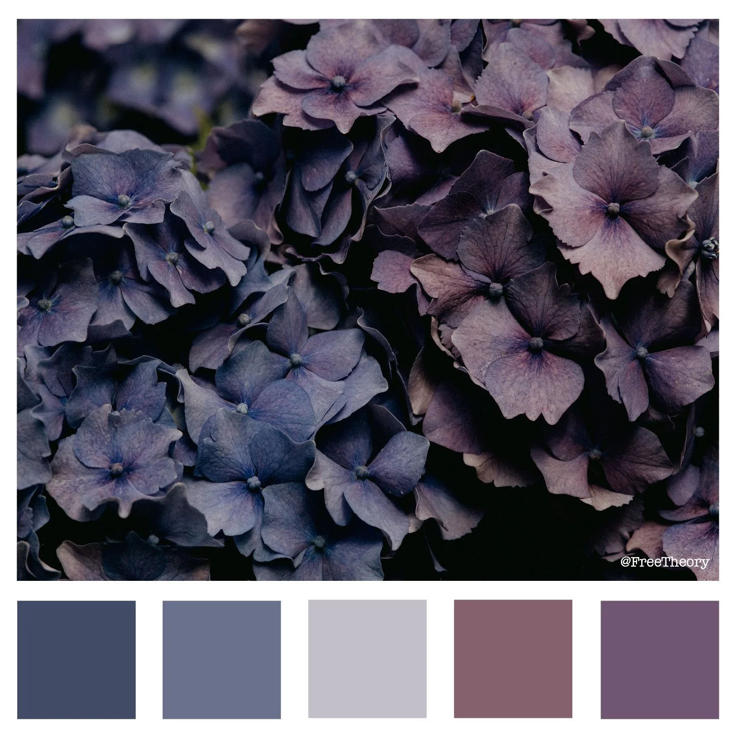 Purple Hydrangeas Color Palette
