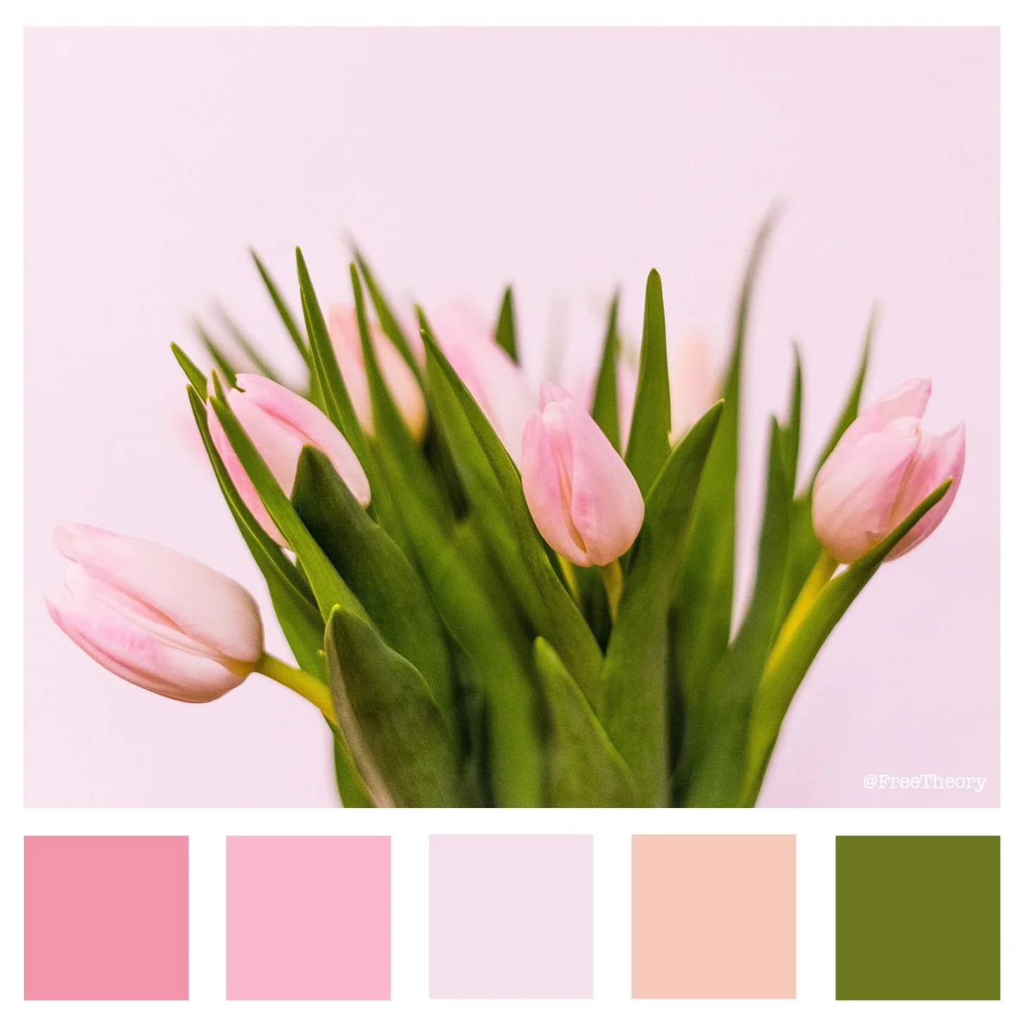Pink Tulips Color Palette