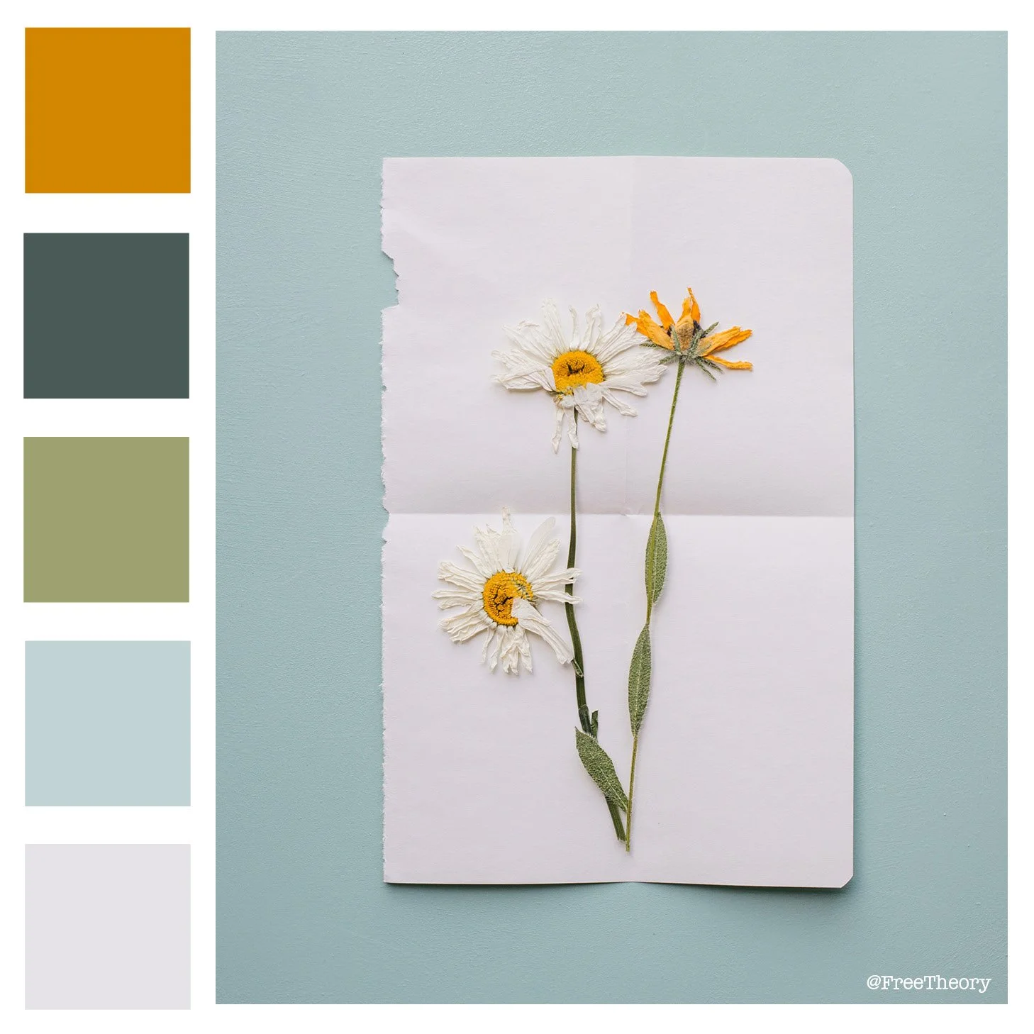 Pressed Flowers Color Palette