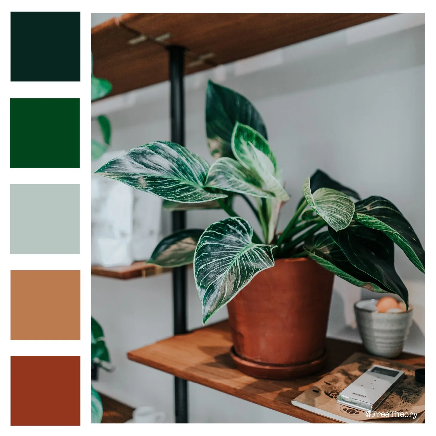 House Plant Color Palette