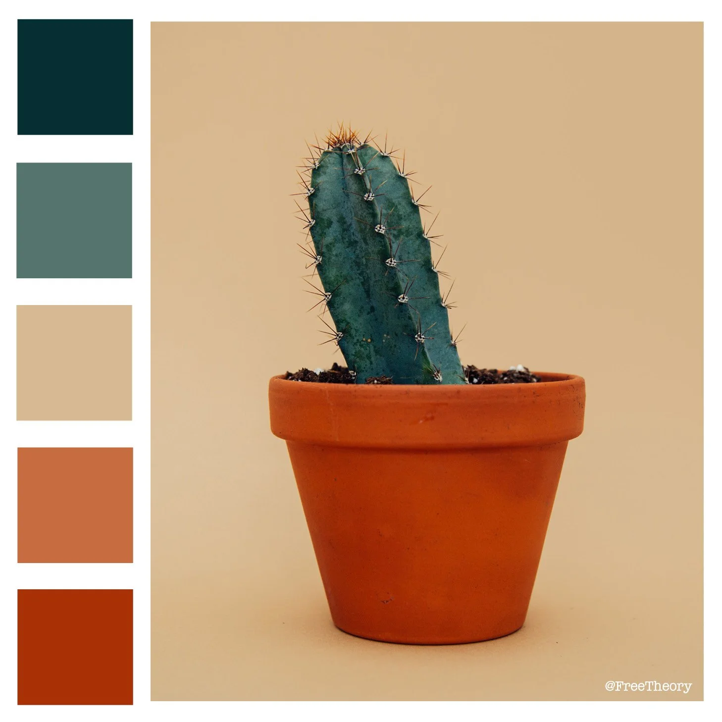 Little Cactus Color Palette