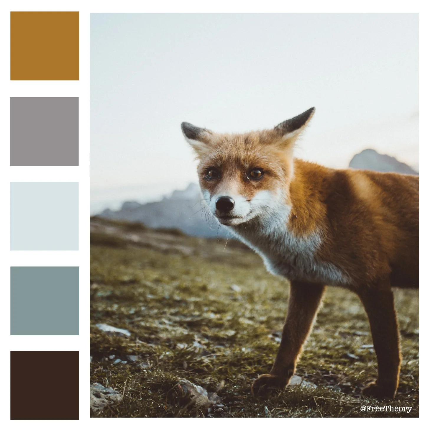 Fox in a Field Color Palette