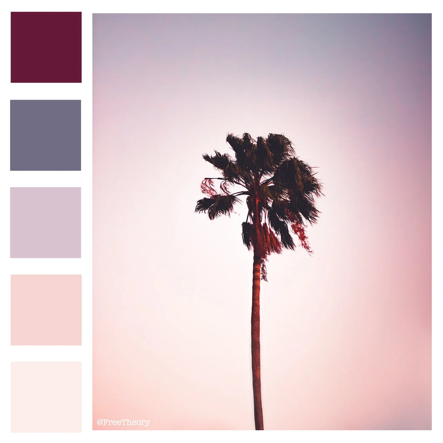 Palm Tree at Sunset Color Palette