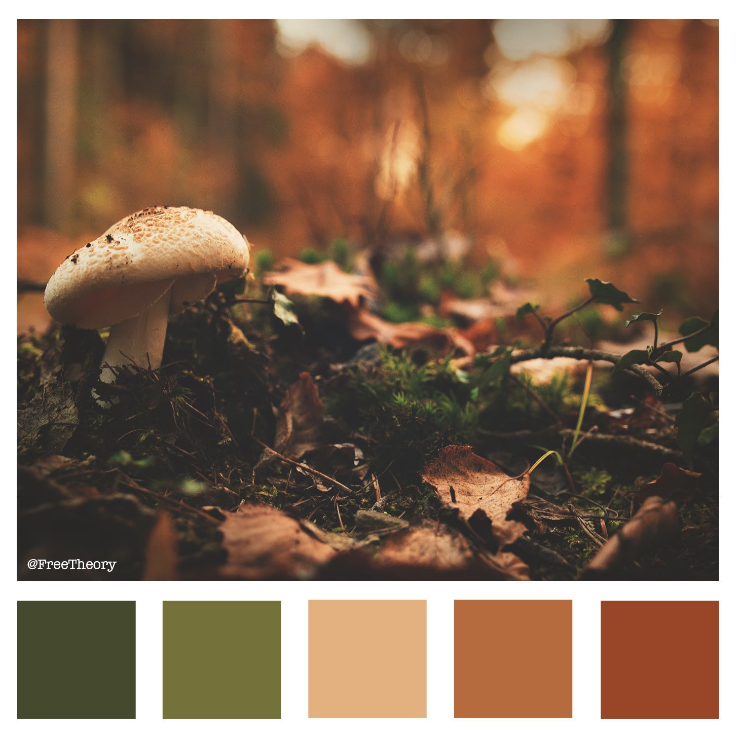 Wild Mushroom Color Palette — Free Theory