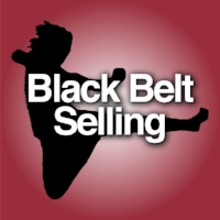 Black Belt Selling - Anna Scheller