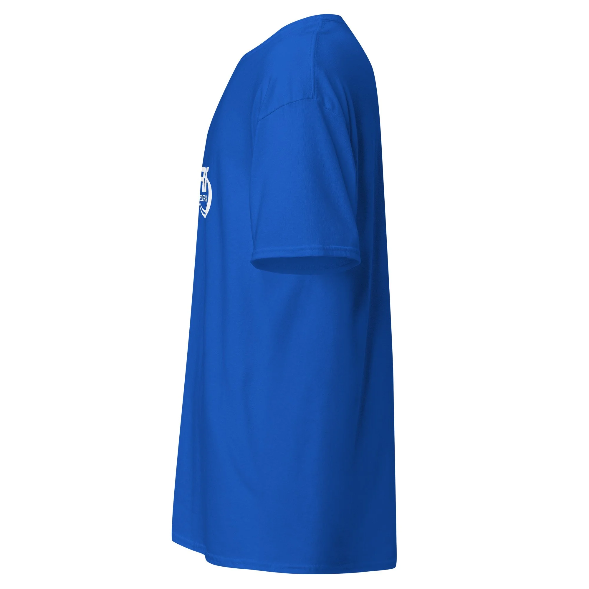unisex-classic-tee-royal-left-688169aee1023.jpg