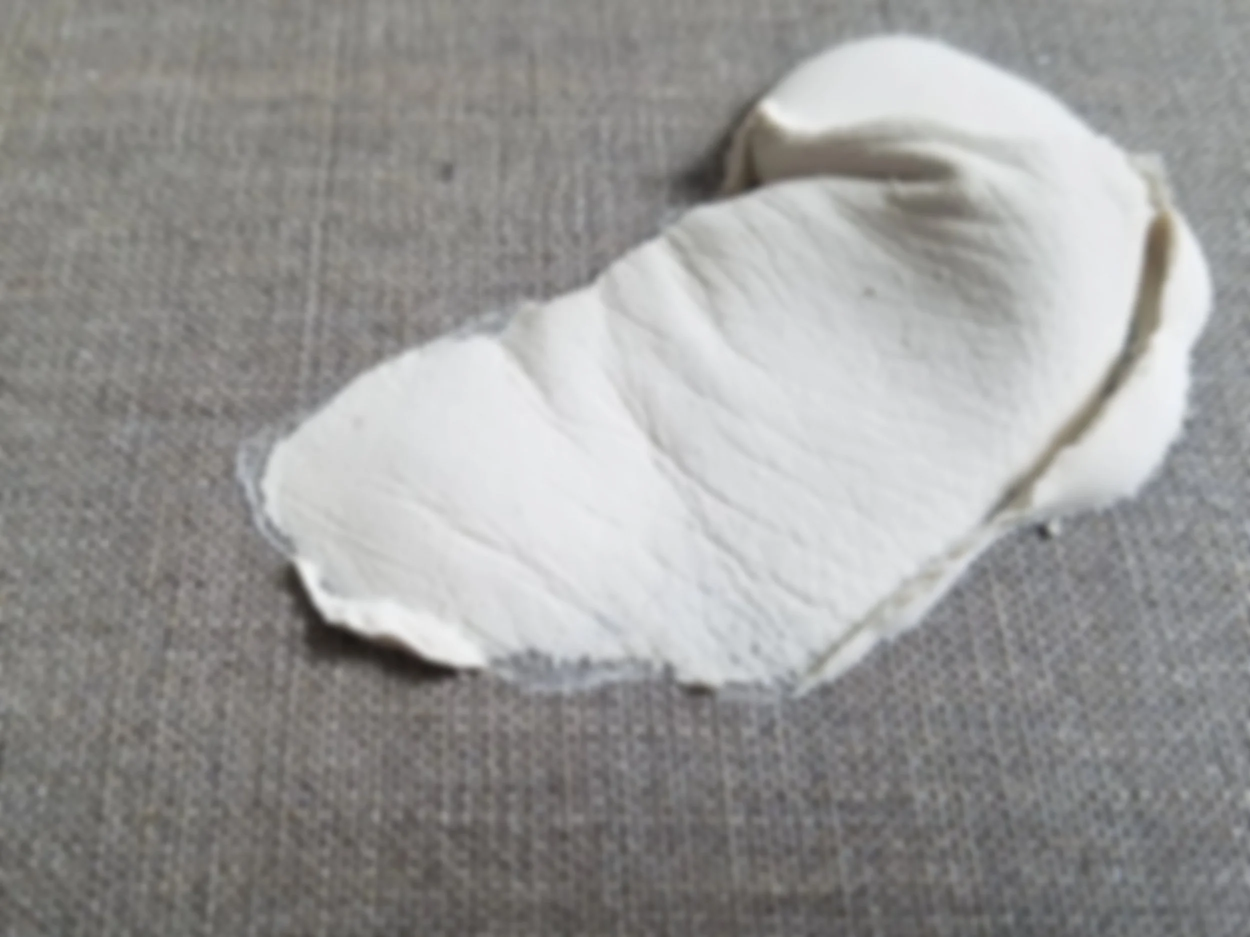 detail+toile.jpg