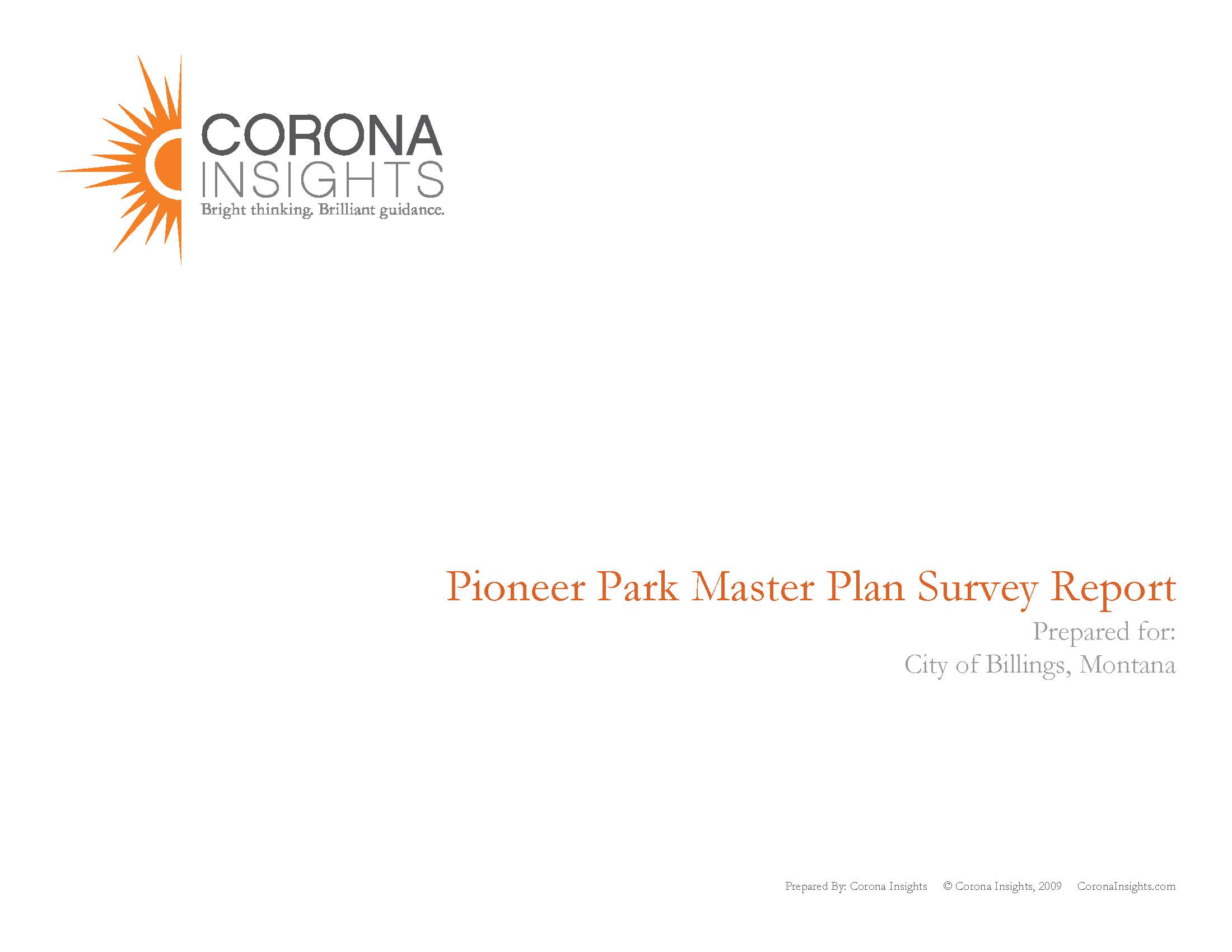 master plan survey report