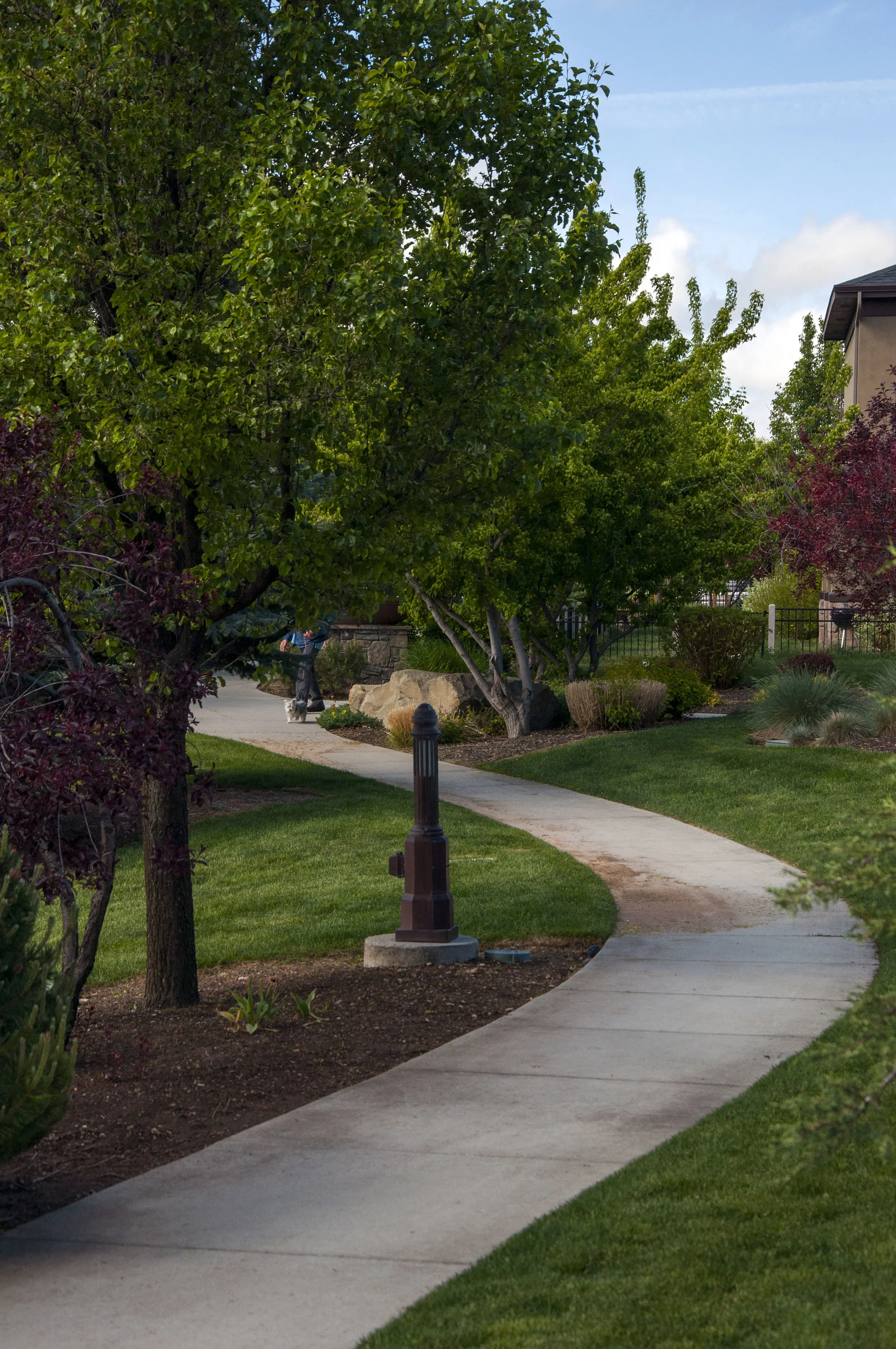 Hazelwood Village 170515_0548.jpg