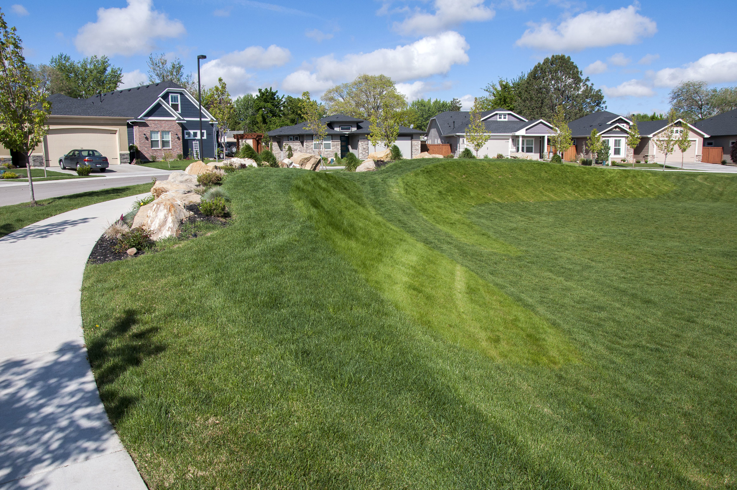 grass and boulders landscape