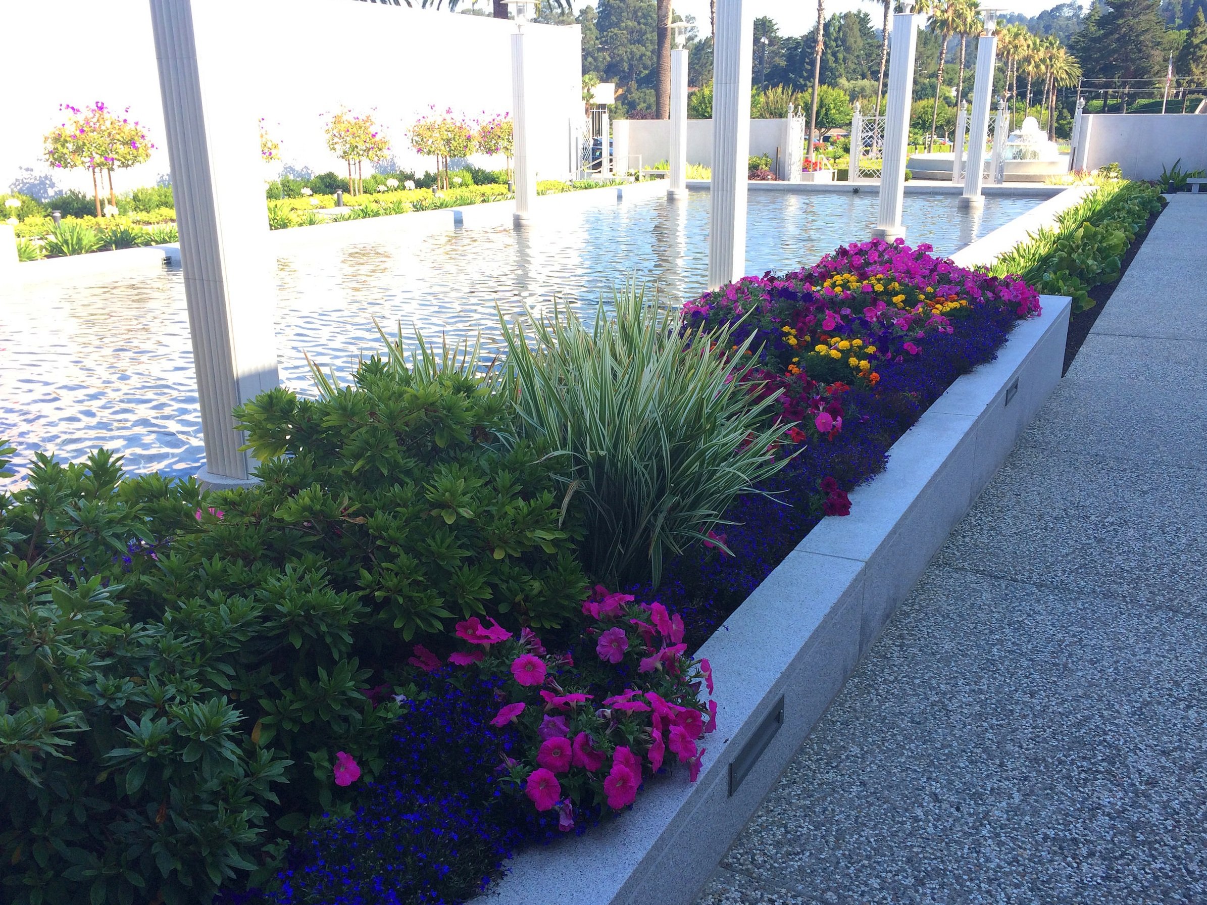 flowers and bushes alongside pond