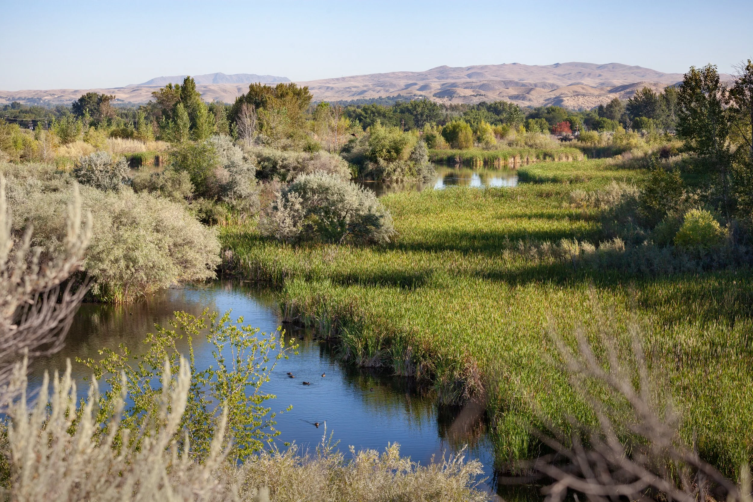 Hyatt Hidden Lakes Reserve Project — The Land Group, Inc.