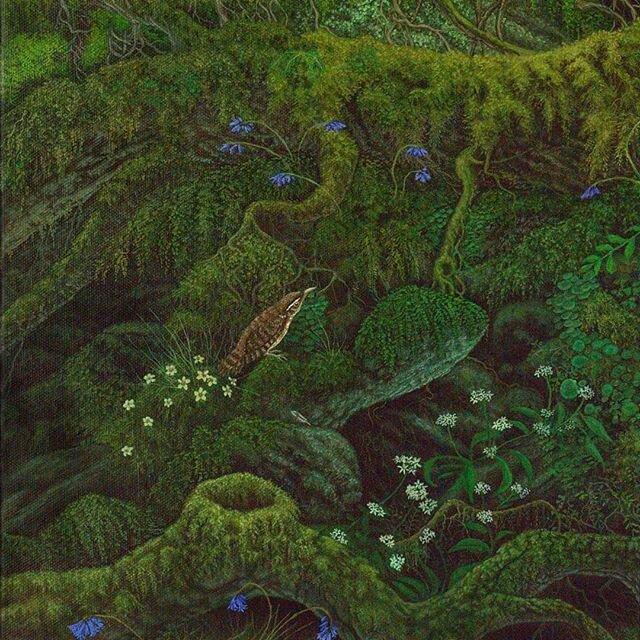 Happy Friday! Here's a close up of one of the wrens from my painting Dragon of Dartmoor, singing a song excitedly about an old friend waking up in the forest after a long rest. 🌱🌿🐲
.
.
#wren #oilpainting #originalart #imaginativeart #birdart #blue