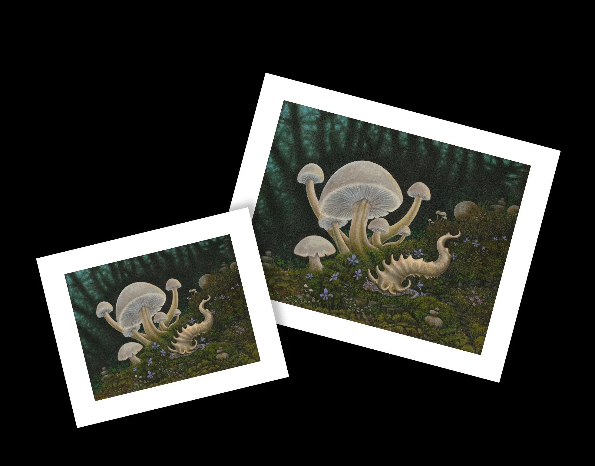 light in the shadows - pips.jpg