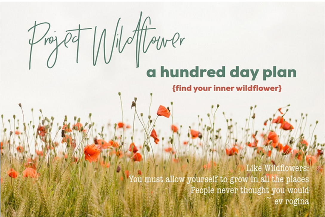 wildflowers.png