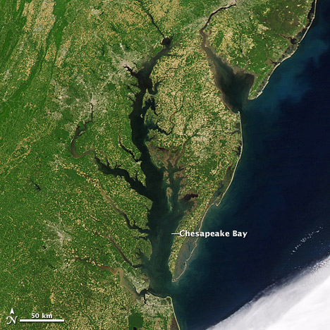 Satellite Image of the Chesapeake Bay. NASA Image courtesy of the MODIS Rapid Response Team.