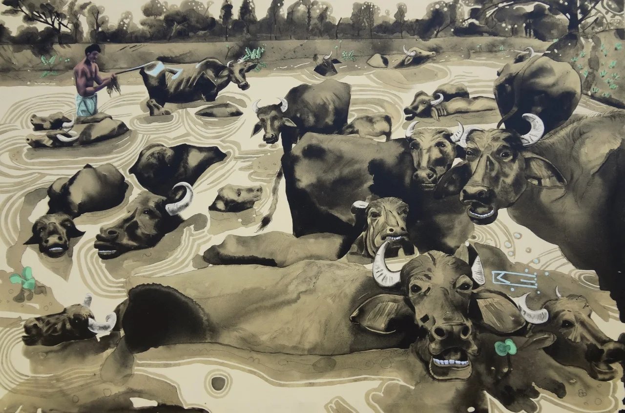 Buffaloes showing_small.jpg