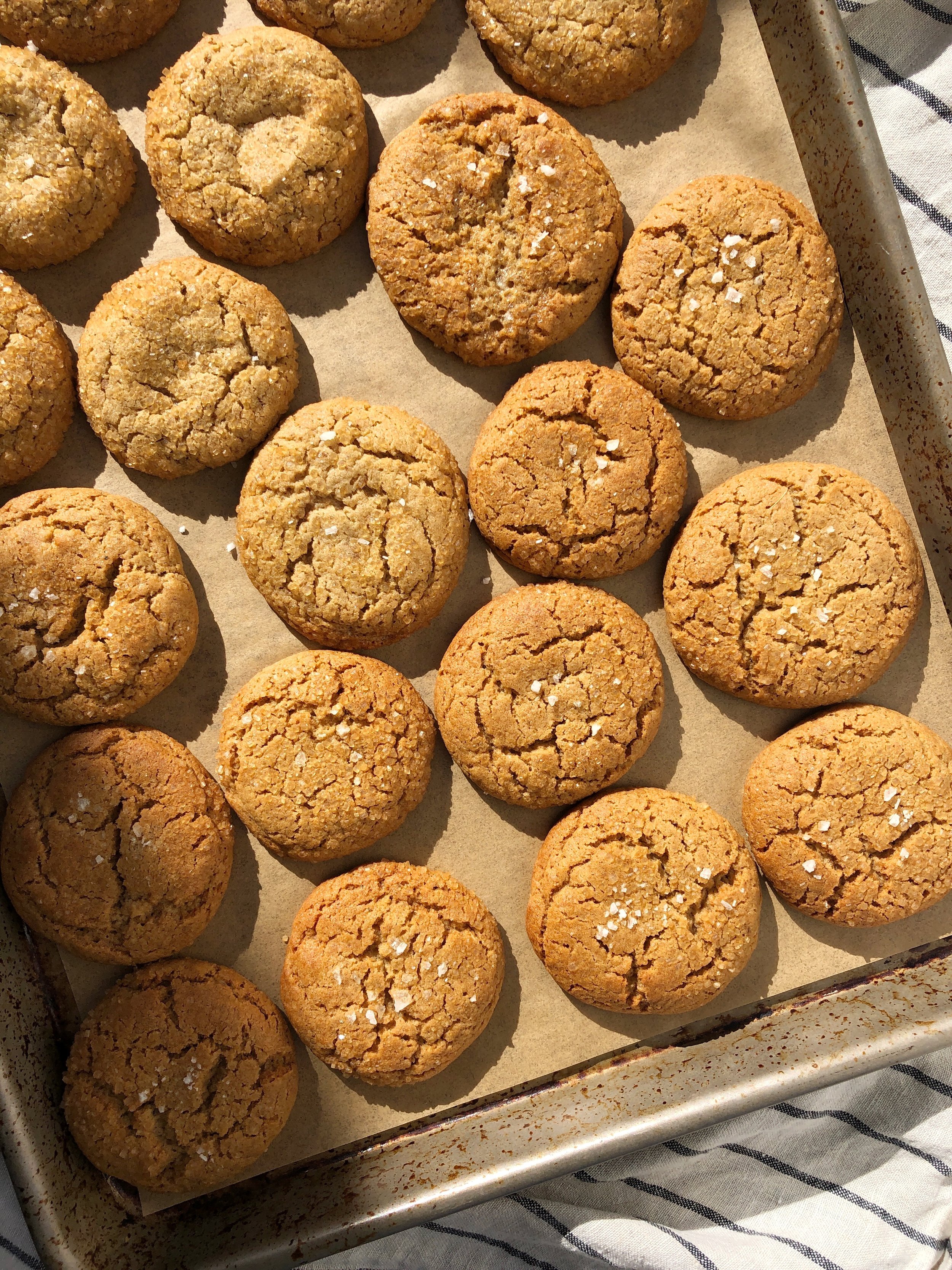 Spicy Sorghum Syrup Cookies