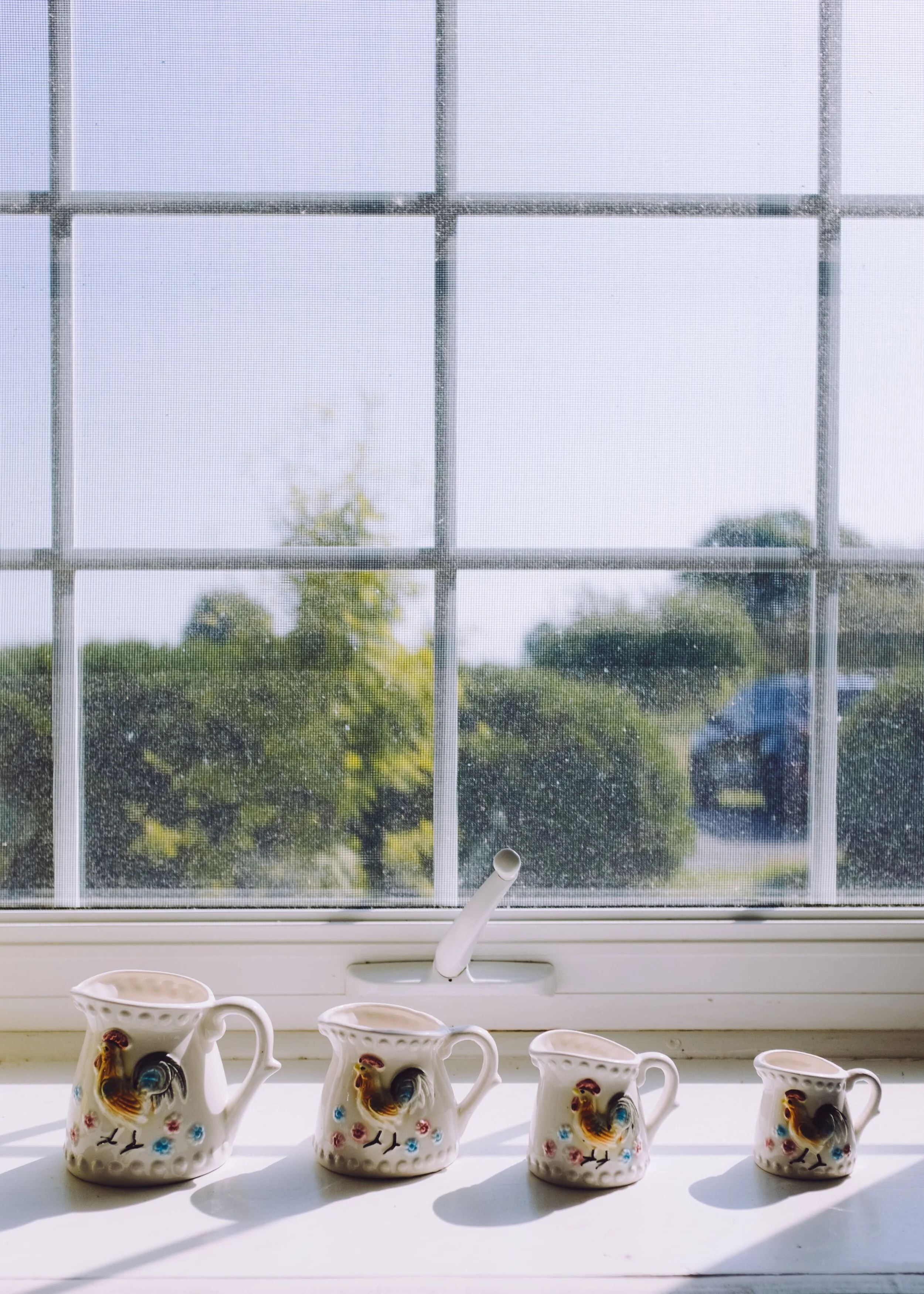 August 2019 | FUJI X100T | Prince Edward County