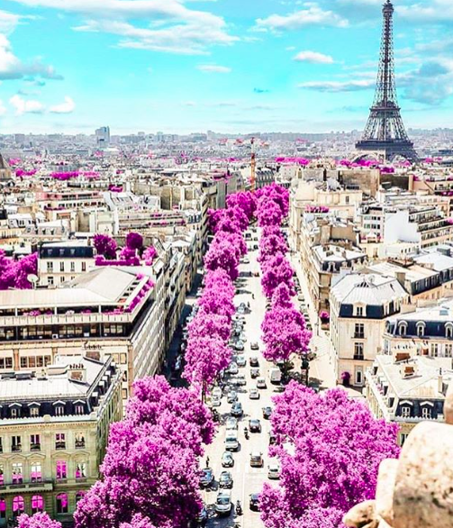 Paris here we come!!! 